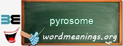 WordMeaning blackboard for pyrosome